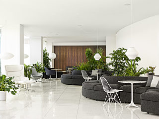 Biophilia