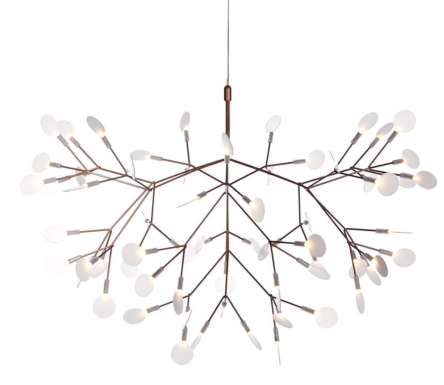 Mooi Heracleum copper on
